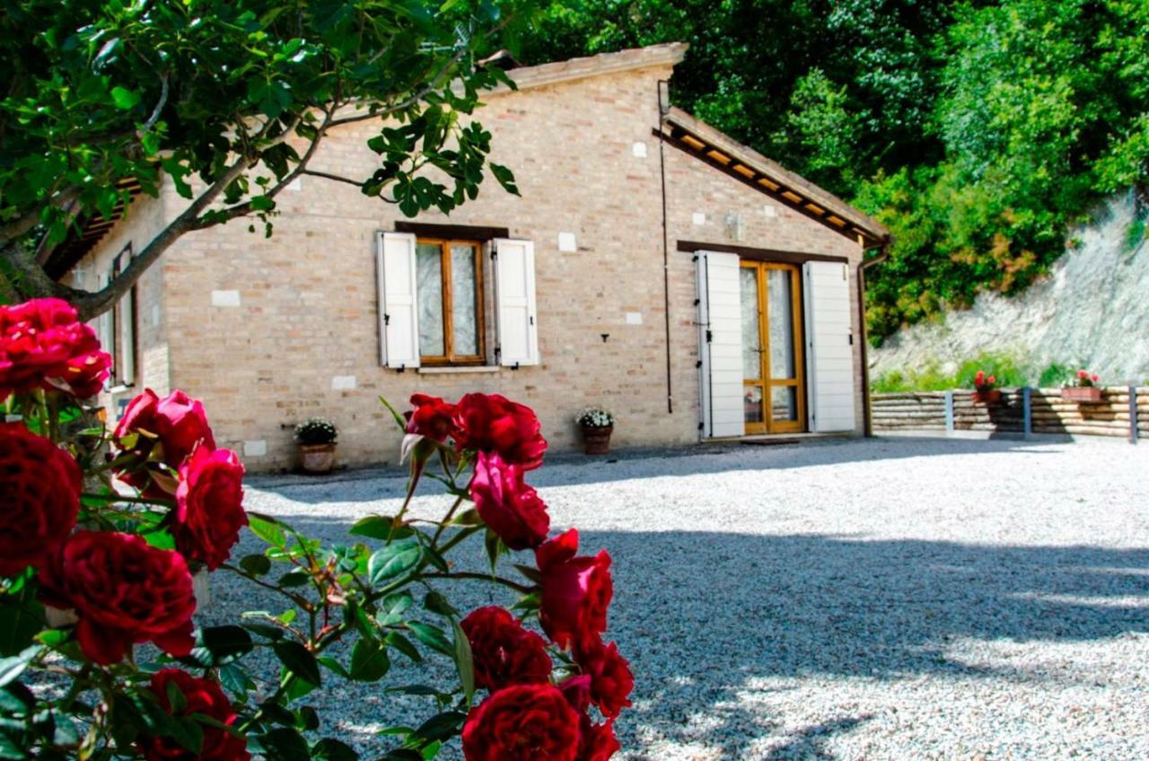 Bed and Breakfast Calmancino Delle Selve Urbino Exterior foto